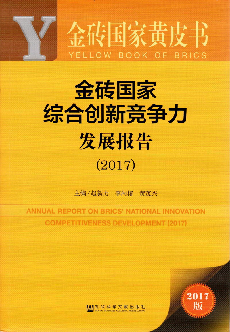 免费透逼网站视频金砖国家综合创新竞争力发展报告（2017）